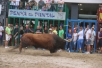 Susto, trifulca y toro a las corrales para acabar la Misericòrdia