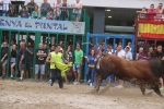 Susto, trifulca y toro a las corrales para acabar la Misericòrdia