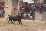 Susto, trifulca y toro a las corrales para acabar la Misericòrdia