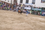 Susto, trifulca y toro a las corrales para acabar la Misericòrdia