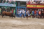 Susto, trifulca y toro a las corrales para acabar la Misericòrdia