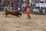 Susto, trifulca y toro a las corrales para acabar la Misericòrdia