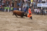 Susto, trifulca y toro a las corrales para acabar la Misericòrdia