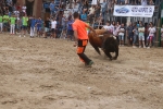 Susto, trifulca y toro a las corrales para acabar la Misericòrdia