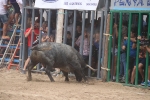 Susto, trifulca y toro a las corrales para acabar la Misericòrdia