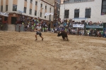 Susto, trifulca y toro a las corrales para acabar la Misericòrdia