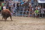 Susto, trifulca y toro a las corrales para acabar la Misericòrdia