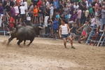 Susto, trifulca y toro a las corrales para acabar la Misericòrdia