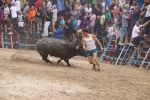 Susto, trifulca y toro a las corrales para acabar la Misericòrdia