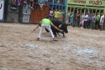 Susto, trifulca y toro a las corrales para acabar la Misericòrdia