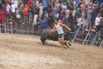 Susto, trifulca y toro a las corrales para acabar la Misericòrdia