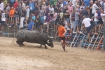 Susto, trifulca y toro a las corrales para acabar la Misericòrdia