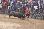 Susto, trifulca y toro a las corrales para acabar la Misericòrdia