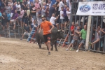 Susto, trifulca y toro a las corrales para acabar la Misericòrdia
