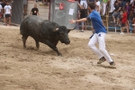 Susto, trifulca y toro a las corrales para acabar la Misericòrdia
