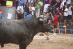 Susto, trifulca y toro a las corrales para acabar la Misericòrdia