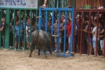 Susto, trifulca y toro a las corrales para acabar la Misericòrdia