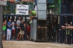 Susto, trifulca y toro a las corrales para acabar la Misericòrdia