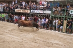 Susto, trifulca y toro a las corrales para acabar la Misericòrdia