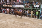 Susto, trifulca y toro a las corrales para acabar la Misericòrdia