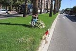 Fotografia /Galeria/2017/9/162957_93805/2_M1.jpg