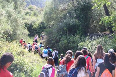 La campaa 'Mar i Muntanya' de la Diputacin ha descubierto el patrimonio natural castellonense a ms de 4.100 estudiantes  