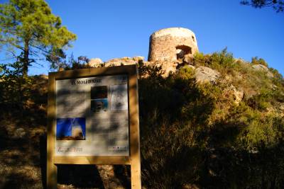 Fotografia /Galeria/2018/1/167410_97469/2_M1.jpg