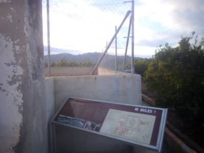 Fotografia /Galeria/2018/1/167683_97690/3_M1.jpg