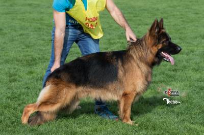 Fotografia /Galeria/2018/1/168102_97999/2_M1.jpg