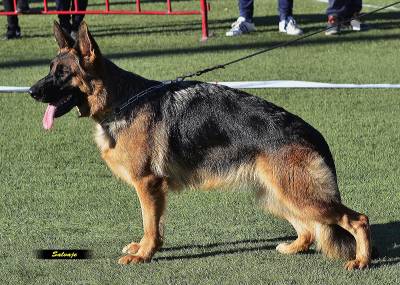 Fotografia /Galeria/2018/1/168102_97999/4_M1.jpg