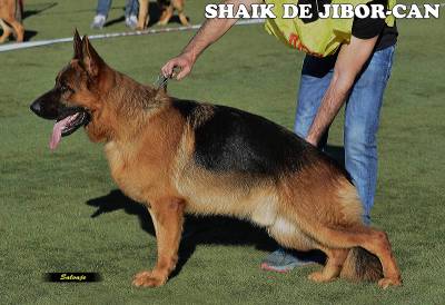 Fotografia /Galeria/2018/1/168102_97999/5_M1.jpg