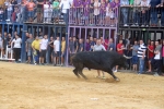 Comienzan en Nules los actos taurinos de las fiestas de la Soledad