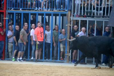 Fotografia /Galeria/2018/10/177583_105997/5_M1.jpg