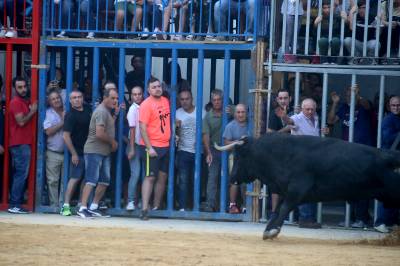 Fotografia /Galeria/2018/10/177583_105997/6_M1.jpg