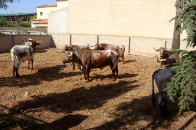 Fotografia /Galeria/2018/10/177585_105991/2_M1.jpg