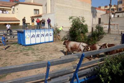 Fotografia /Galeria/2018/10/177585_105991/4_M1.jpg