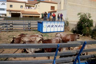 Fotografia /Galeria/2018/10/177585_105991/5_M1.jpg