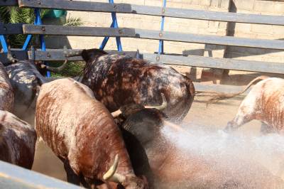 Fotografia /Galeria/2018/10/177585_105991/6_M1.jpg