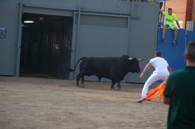 Fotografia /Galeria/2018/10/177591_105999/3_M1.jpg