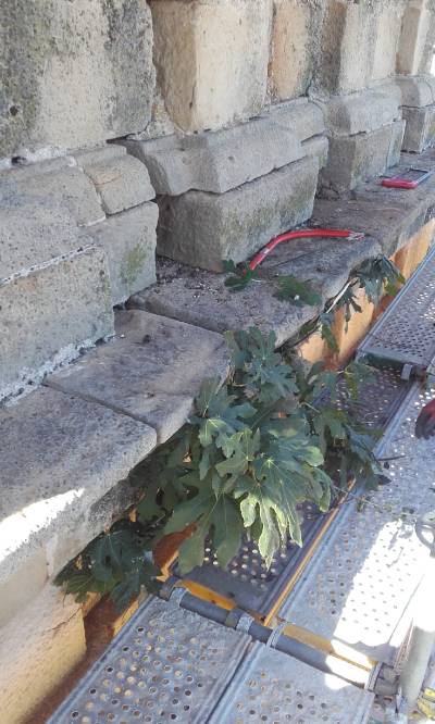 Fotografia /Galeria/2018/10/177636_106035/5_M1.jpg