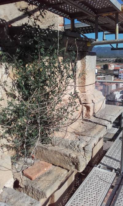 Fotografia /Galeria/2018/10/177636_106035/6_M1.jpg