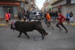 El bou en corda torna a Les Alqueries