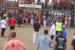 El bou en corda torna a Les Alqueries