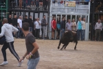 El bou en corda torna a Les Alqueries