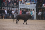 El bou en corda torna a Les Alqueries