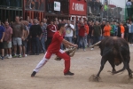 El bou en corda torna a Les Alqueries