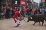 El bou en corda torna a Les Alqueries