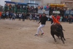 El bou en corda torna a Les Alqueries