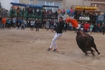 El bou en corda torna a Les Alqueries