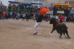 El bou en corda torna a Les Alqueries